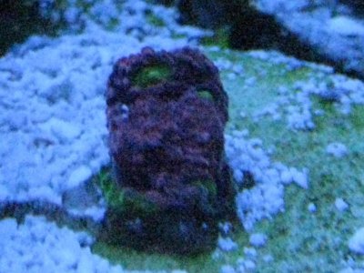 IMG_2931.jpg