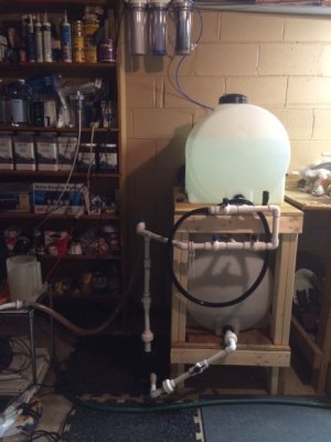 IMG_1441.JPG IMG_1441.JPG