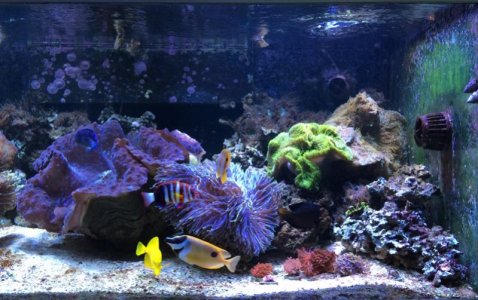Tank 2016013102.jpg
