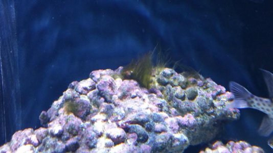 2016-02-24 16.31.46.jpg