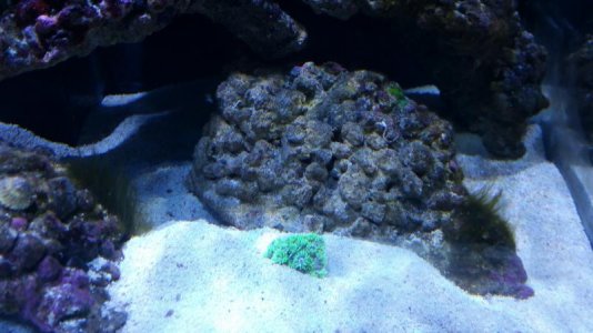 2016-02-24 16.31.24.jpg