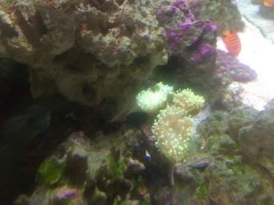 IMG_0669.jpg