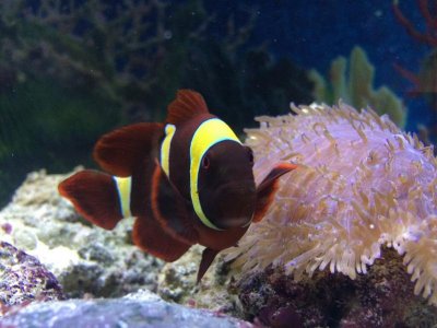 ImageUploadedByTapatalk1454295822.486140.jpg ImageUploadedByTapatalk1454295822.486140.jpg