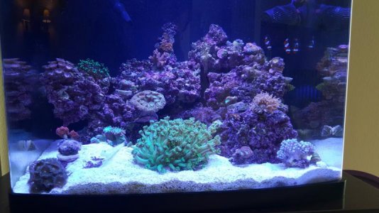 20160224_121335.jpg
