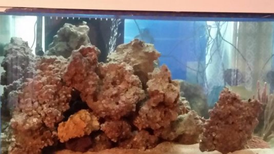 20160225_091120small.jpg 20160225_091120small.jpg