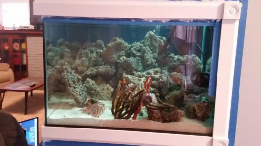 20160225_091142small.jpg 20160225_091142small.jpg