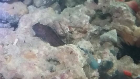 20160225_102216small.jpg 20160225_102216small.jpg