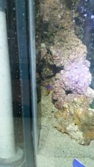 20160225_093546small.jpg 20160225_093546small.jpg