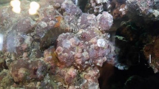 20160225_101615small.jpg 20160225_101615small.jpg