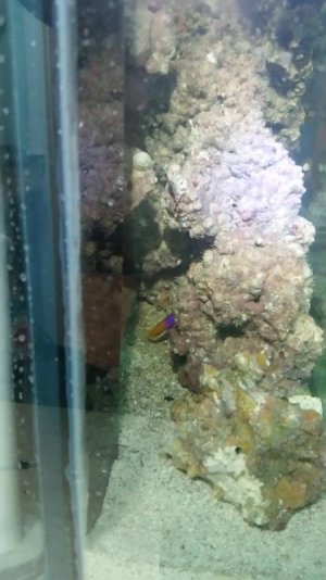 20160225_093537small.jpg 20160225_093537small.jpg