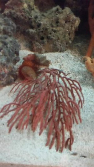 22a9038b31a76ca22e5ed0ee78247171small.jpg 22a9038b31a76ca22e5ed0ee78247171small.jpg