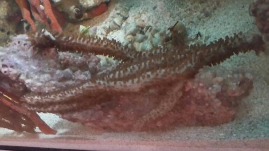 9cc7c600dc2b50115cefc66bd5312bc6small.jpg 9cc7c600dc2b50115cefc66bd5312bc6small.jpg