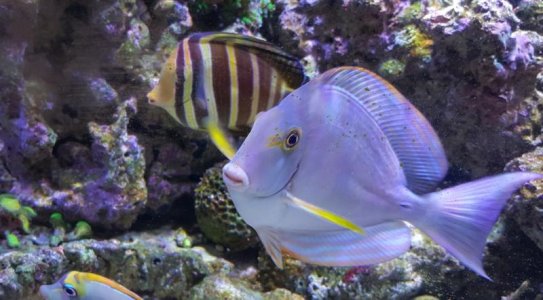 Screen Shot 02-01-16 at 09.27 AM.jpg