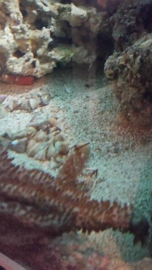 20160225_090859small.jpg 20160225_090859small.jpg