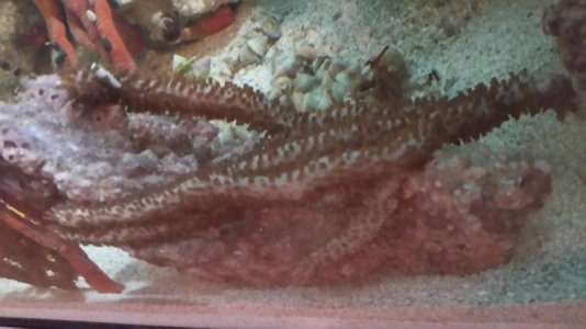 20160225_090804small.jpg 20160225_090804small.jpg