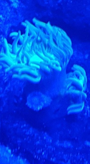 20160127_224603 (2).jpg