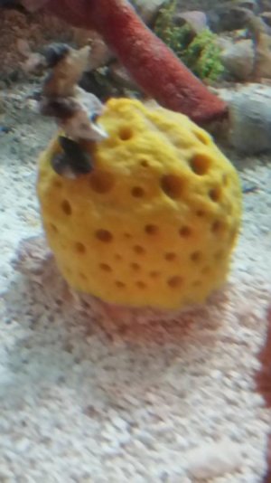 20160225_091009small.jpg 20160225_091009small.jpg