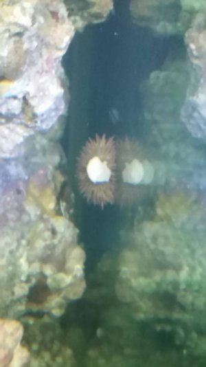 20160225_093636small.jpg 20160225_093636small.jpg