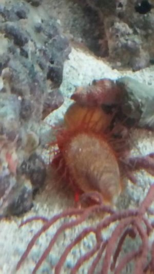 7d8f394e4c8b361b82ad7851346716a5small.jpg 7d8f394e4c8b361b82ad7851346716a5small.jpg