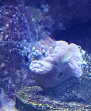 20160201_122711 (2).jpg