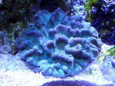 DSCF6122.jpg