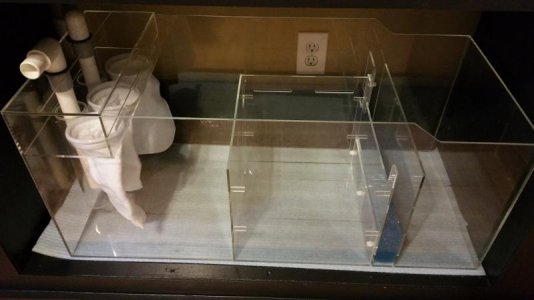 2016-01-31 17.10.19.jpg