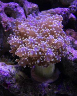 IMG_0394.jpg