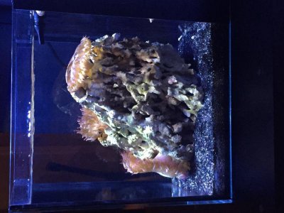 IMG_1044.jpg