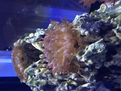 IMG_1046.jpg