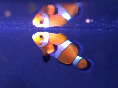 IMG_3689.jpg IMG_3689.jpg