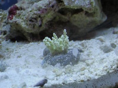 image2.jpg