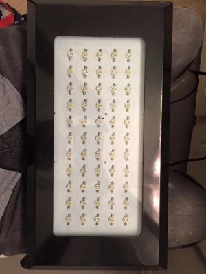light1.jpg