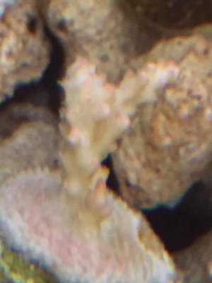 image1.jpg