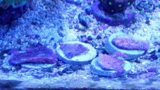 2016-02-05 23.41.46.jpg