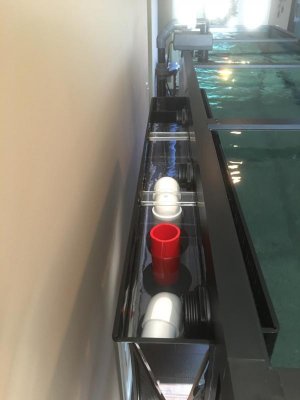 ImageUploadedByTapatalk1454758765.526043.jpg