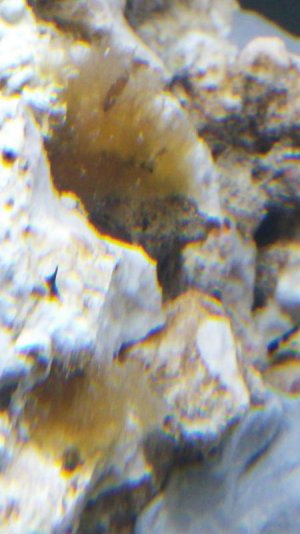 20160228_211708.jpg
