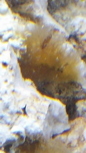 20160228_211734.jpg