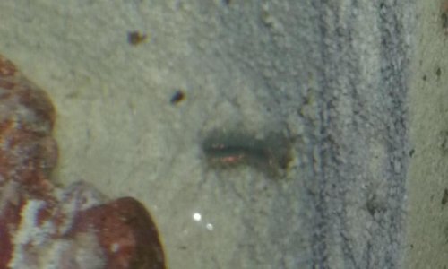 20160206_114103.jpg