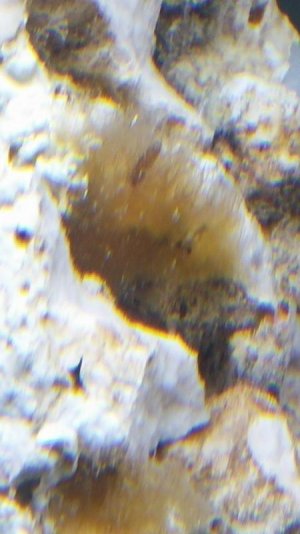 20160228_211753.jpg