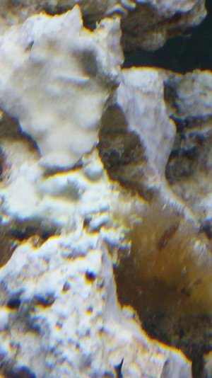 20160228_211938.jpg