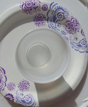 Cup White Background.jpg