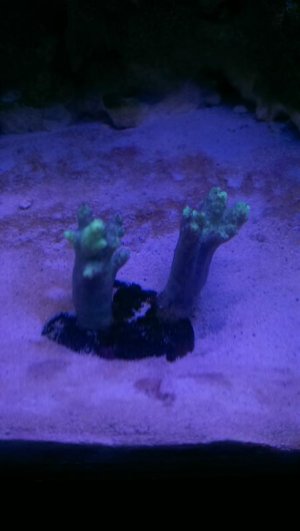 IMAG0119.jpg