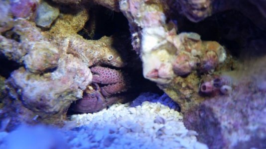 20160229_175406small.jpg