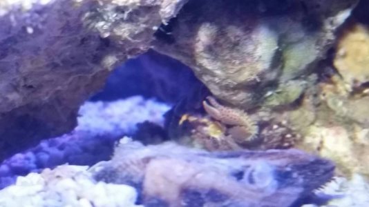 20160229_175640small.jpg