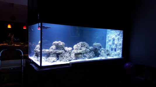 20160206_222556.jpg