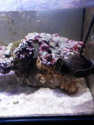 20160302_180852.jpg