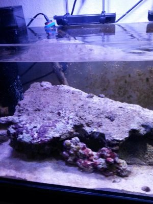 20160302_180904.jpg