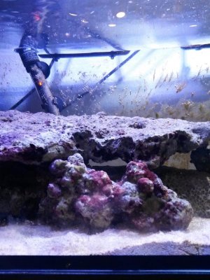 20160302_180912.jpg