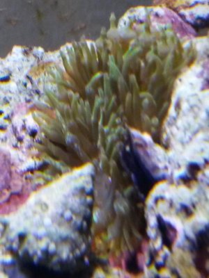 20160302_180845.jpg
