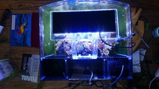 12787433_10208347190416795_2140207199_o (1).jpg